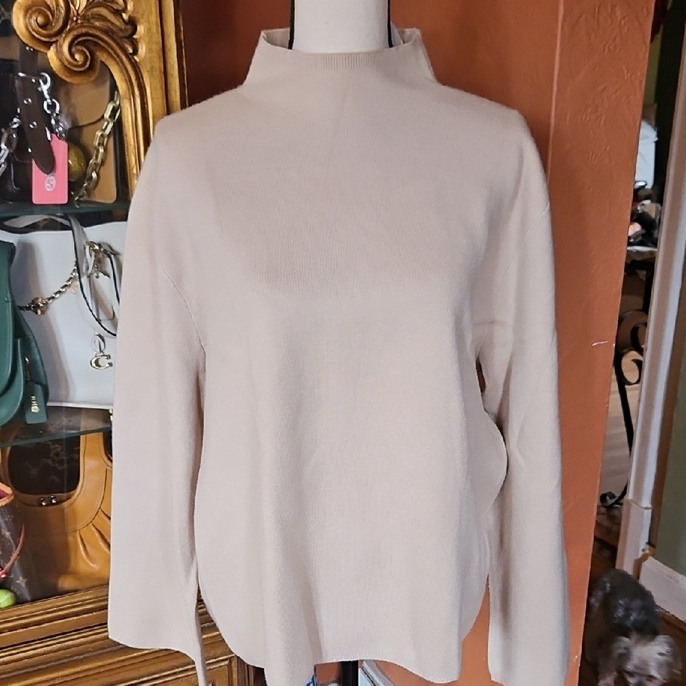 Ann Taylor Mockneck Sweater